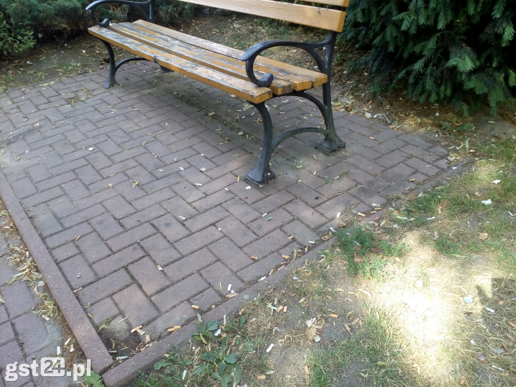 Śmiecimy, gdzie popadnie