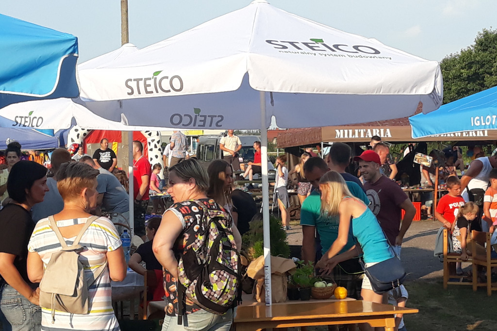 Steico na wielkim grillowaniu