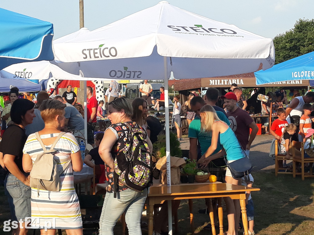Steico na wielkim grillowaniu