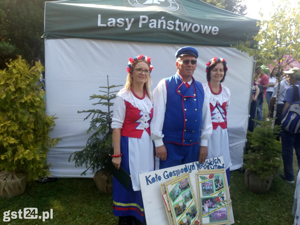 I Jarmark Kociewski w Wirtach