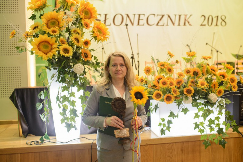 Słoneczniki 2018