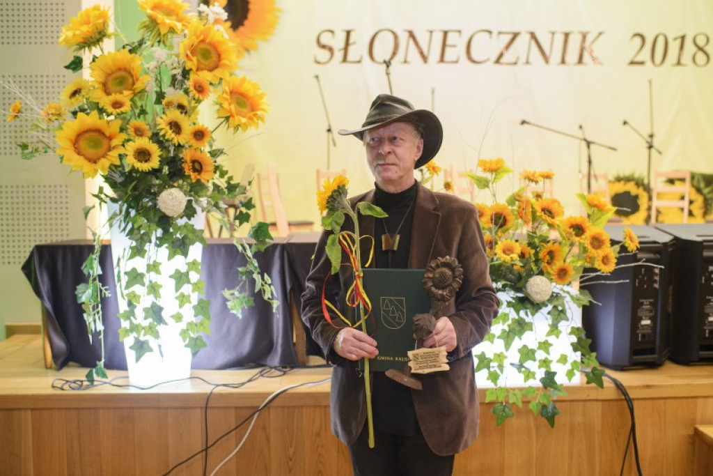 Słoneczniki 2018