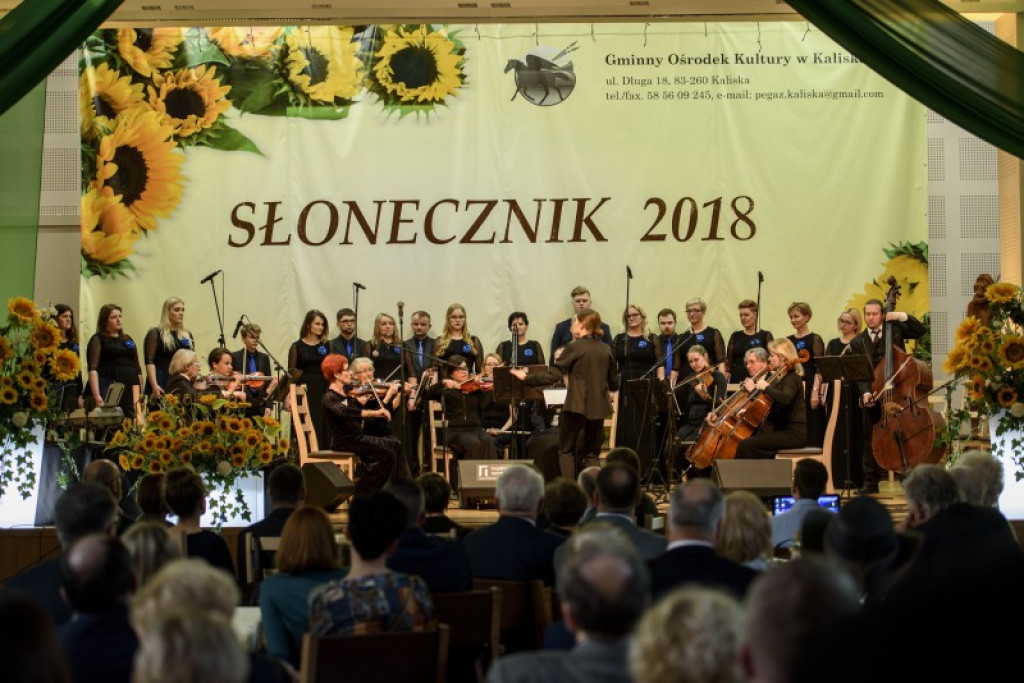 Słoneczniki 2018