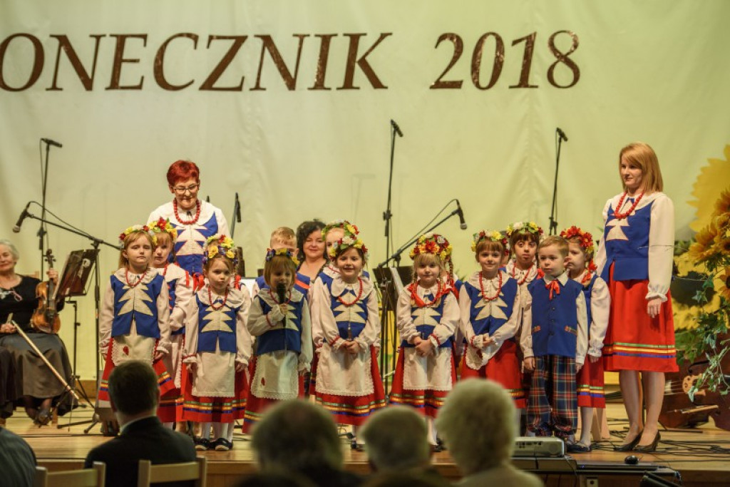 Słoneczniki 2018