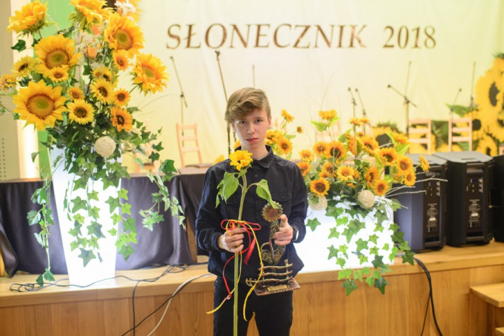 Słoneczniki 2018