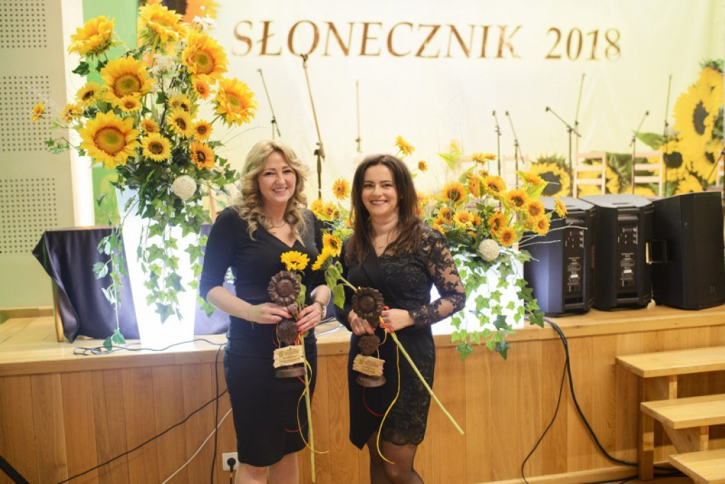 Słoneczniki 2018