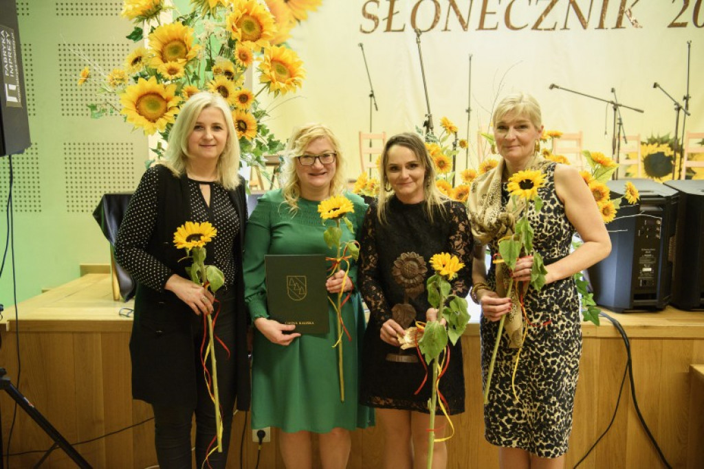 Słoneczniki 2018