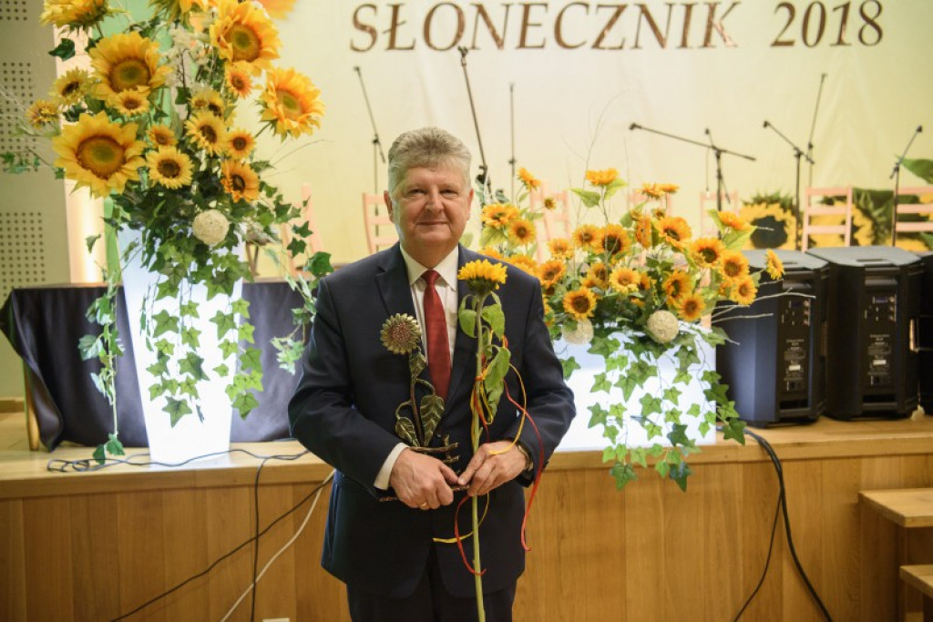 Słoneczniki 2018