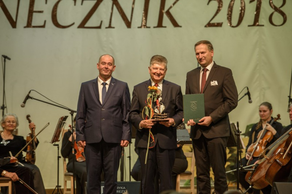 Słoneczniki 2018