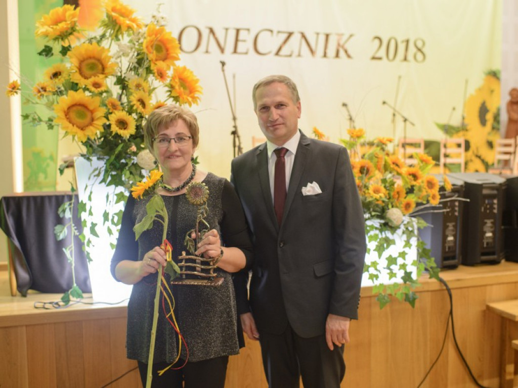 Słoneczniki 2018