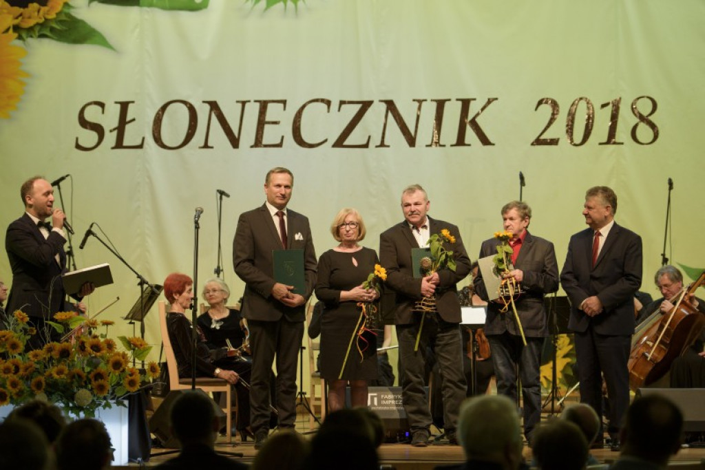 Słoneczniki 2018