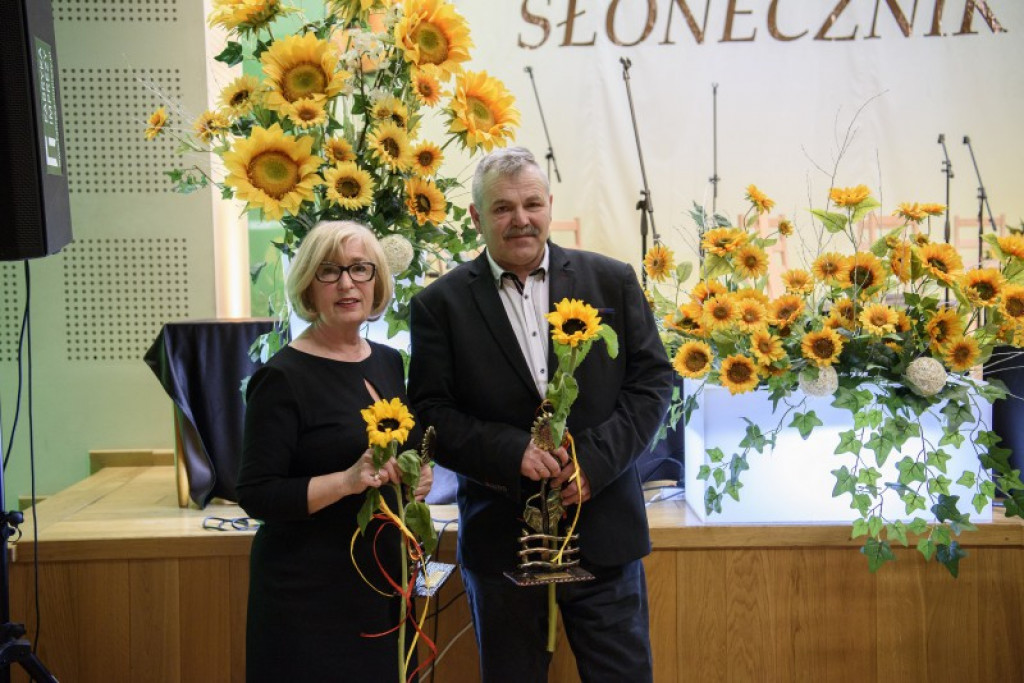 Słoneczniki 2018