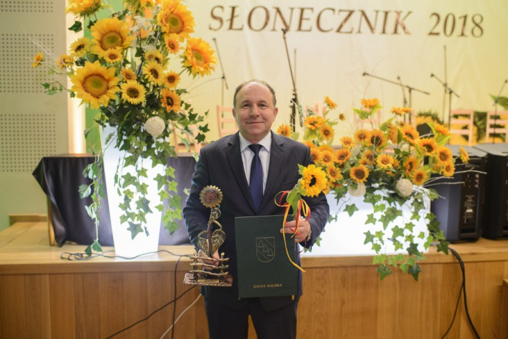 Słoneczniki 2018