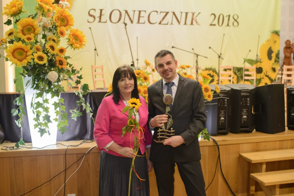 Słoneczniki 2018