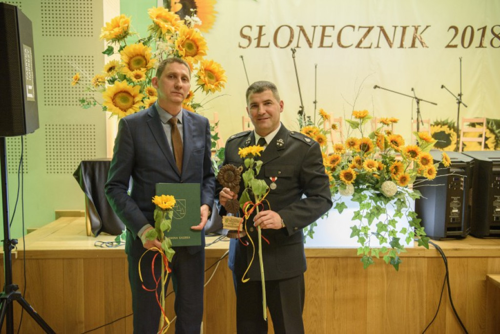 Słoneczniki 2018