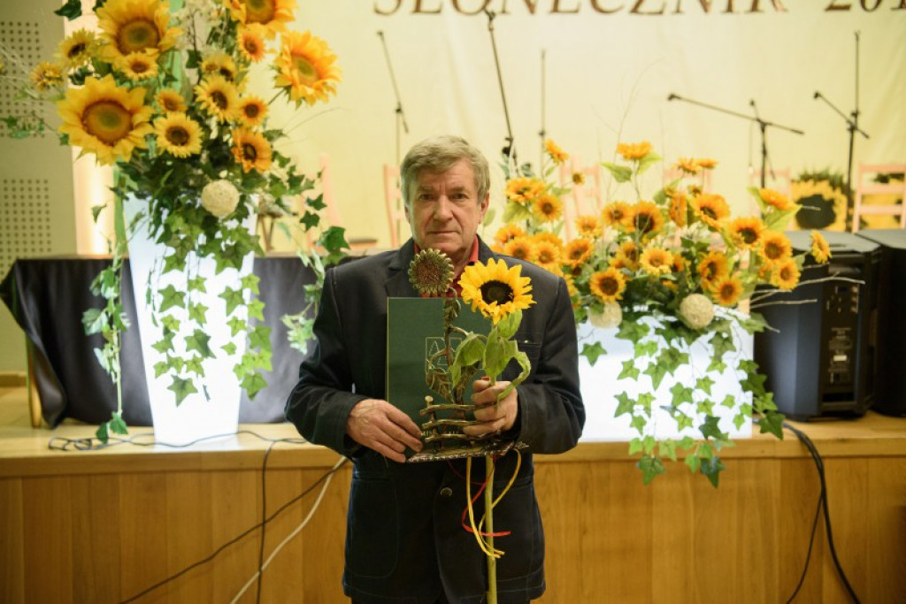 Słoneczniki 2018