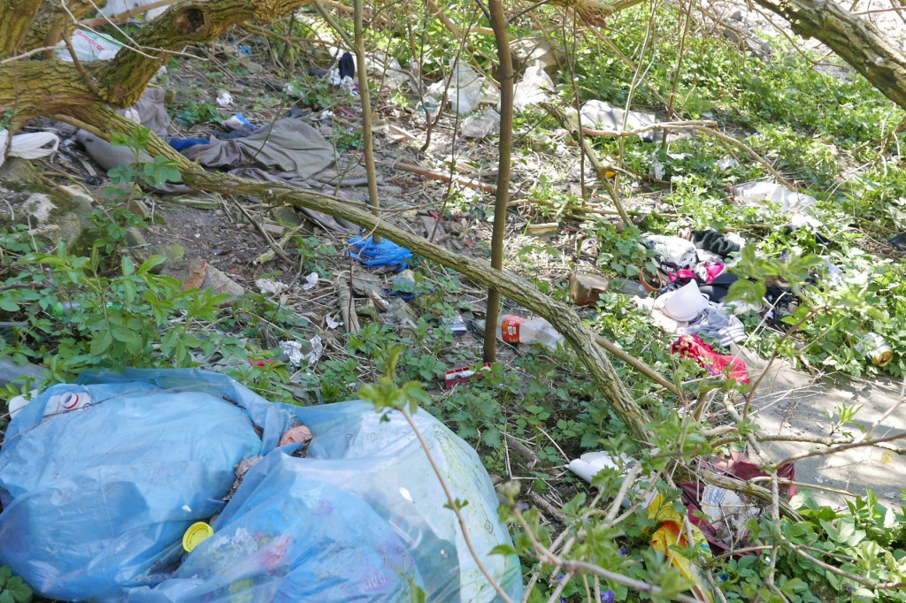 TrashChallenge w Starogardzie