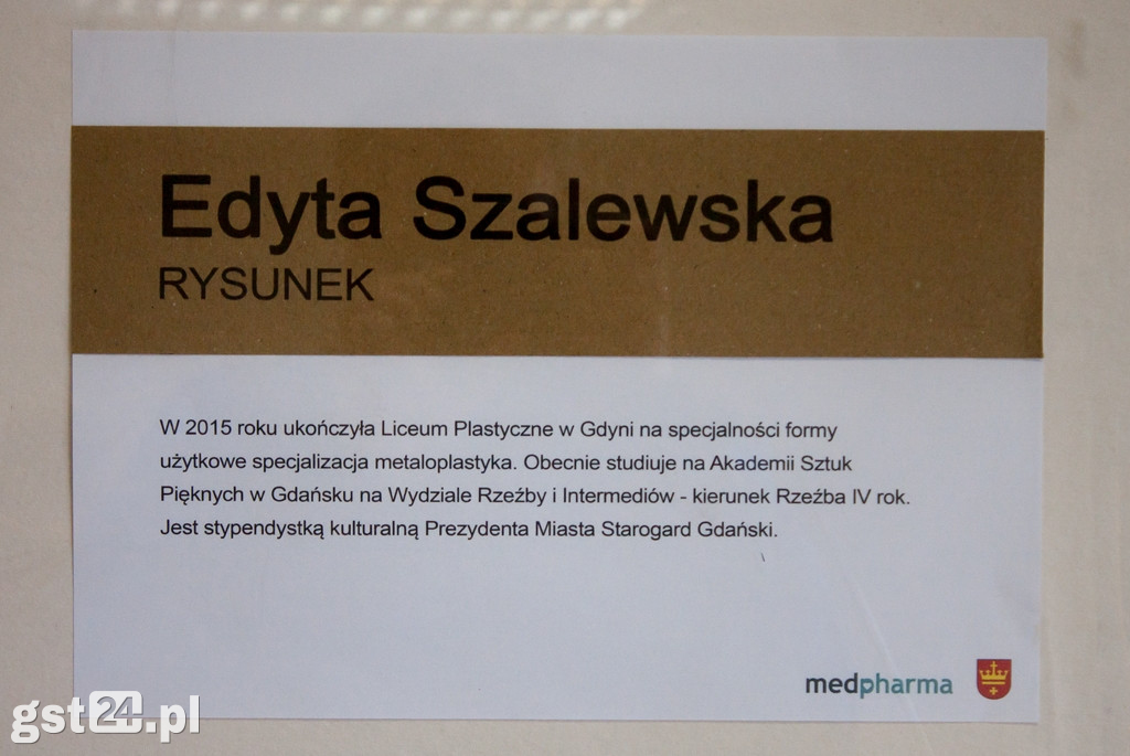 II Piknik Kociewiacy Dla Hospicjum za nami