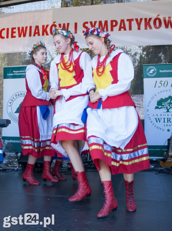 Plachandry Kociewskie 2019 Rozdane