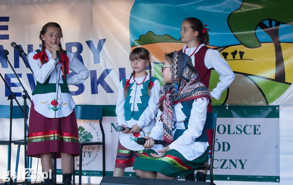 Plachandry Kociewskie 2019 Rozdane