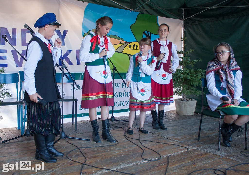 Plachandry Kociewskie 2019 Rozdane