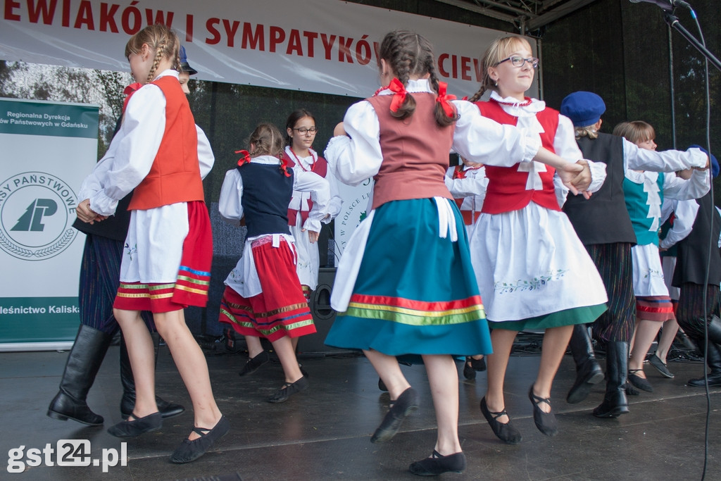 Plachandry Kociewskie 2019 Rozdane