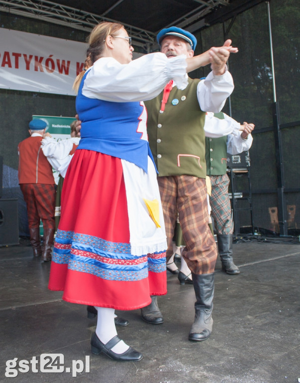 Plachandry Kociewskie 2019 Rozdane