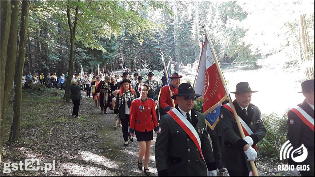 Walne Plachandry Kociewskie