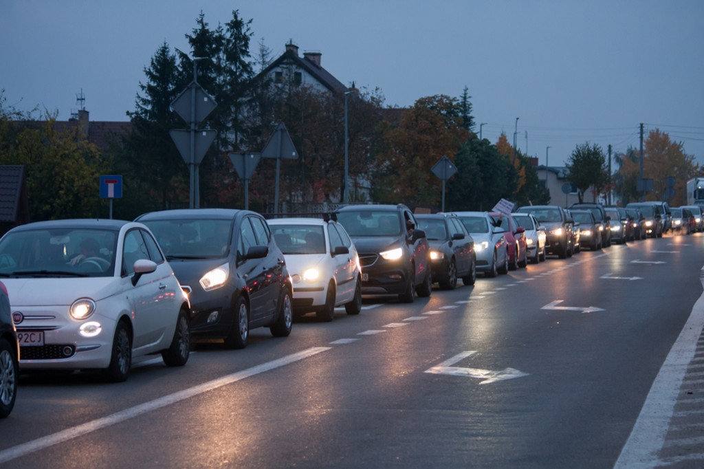 Drugi Dzień Manifestacji Antyaborcyjnej