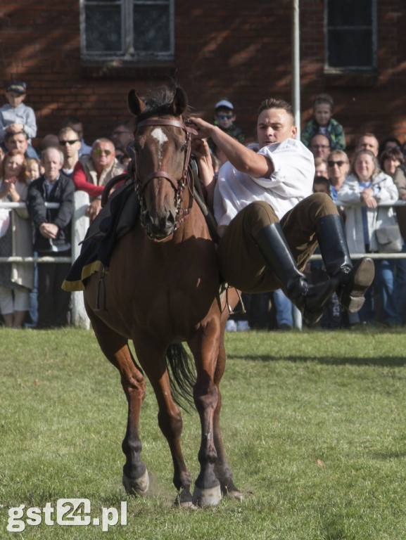 FESTYN KAWALERYJSKI W STADZIE OGIERÓW