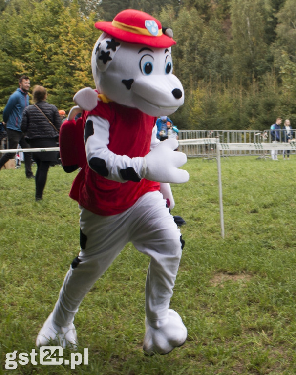 Biegali Bo Lubią Lasy