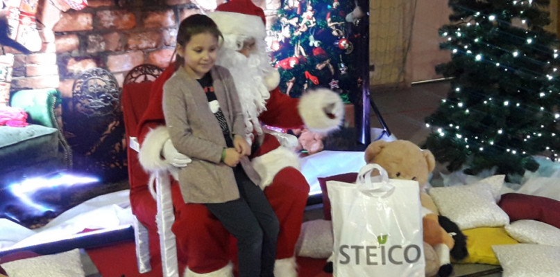 STEICO