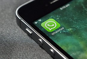 WhatsApp się zmienia. Czy aplikacja będzie płatna?-10823