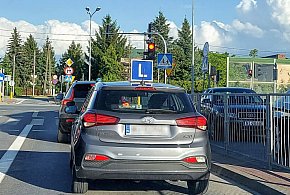 Egzamin na prawo jazdy będzie inny. Od 1 lipca nowe zasady-10850