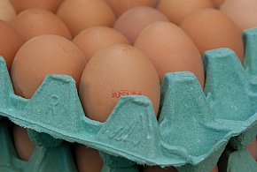 Salmonella na jajach znanej marki. Nie jedz, jeśli masz je w lodówce!-10897