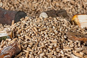 Drożeje popularny opał. Miliony Polaków dostaną po kieszeni tej zimy-11588