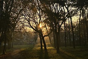 Nadchodzi najkrótszy dzień w 2025 roku. Sprawdź, kiedy przypadnie-11856