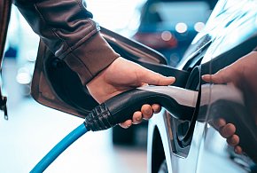 Coraz częściej dochodzi do takich kradzieży. Powody zaskakują-11985